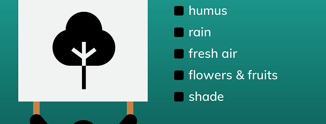 Quotes about trees