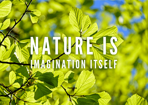 Nature is imagination itself