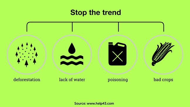 Quotes about trees Quotes about trees