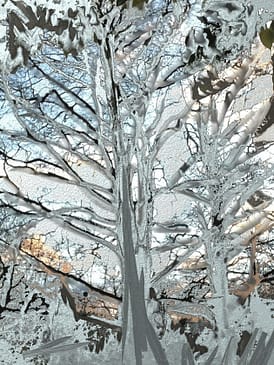 Cosmic paintings. The beauty of trees. An impression of its fragile and yet so strong nature