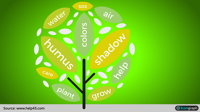 The tree of life, a modern infographic grasping the mystery of nature and being creatures on this planet