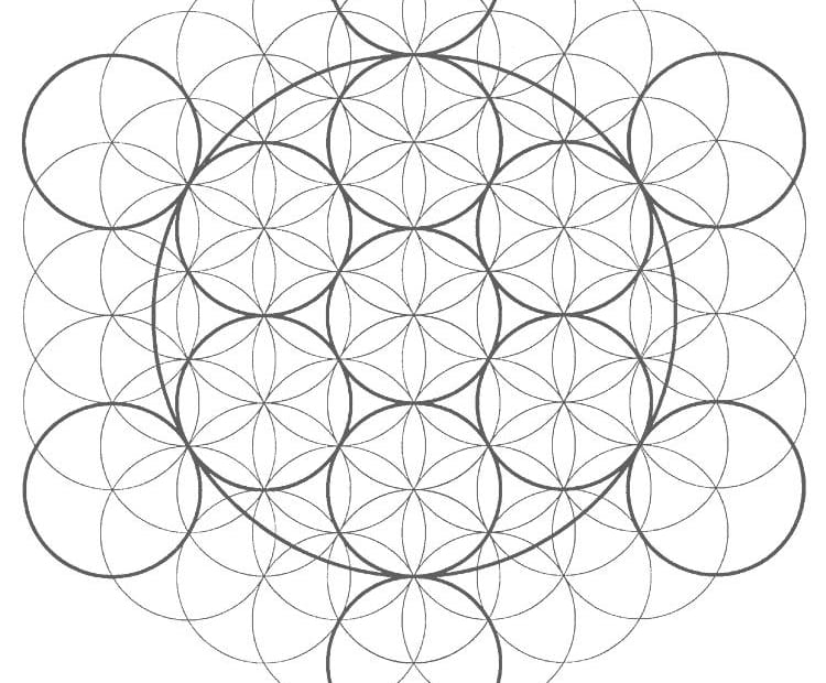 The tree of life