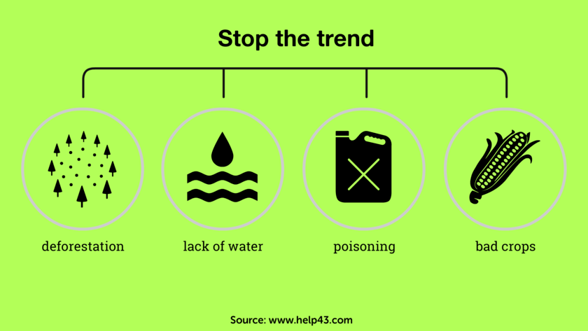 Theories are many Theories are many. Infographic solutions WorldWide. Stop poison, deforestation, spoiling water and crops