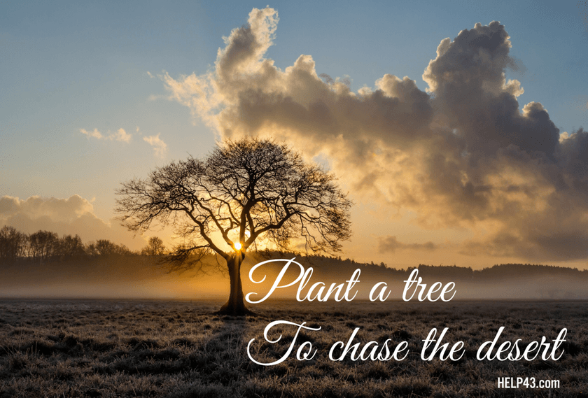 How Trees fight Climate Change How trees fight climate change with humus, shade and oxygen. Plant, grow, nurture and protect them!