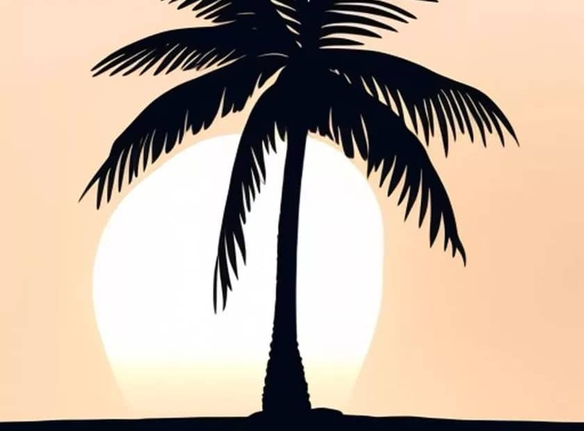 Palmyra Palm: Nature's Gift of Sustenance and Significance