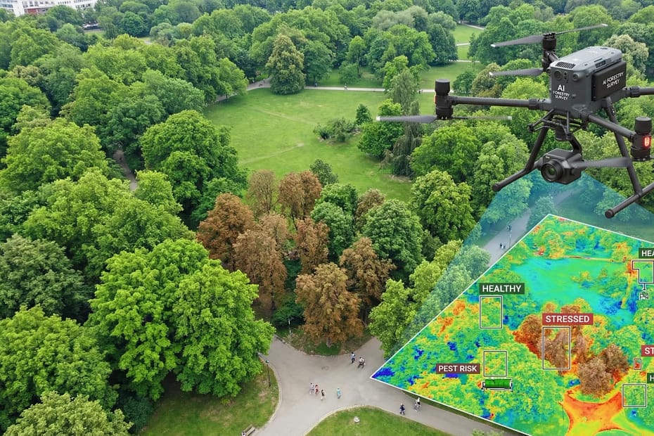 Tree Health Assessment AI Tools
