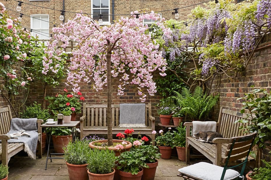 How To Plant Trees In Small Spaces