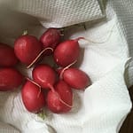 groente en fruit. iedereen lust ze graag vers. en waar koop je ze beter dan bij je lokale boer of tuinder