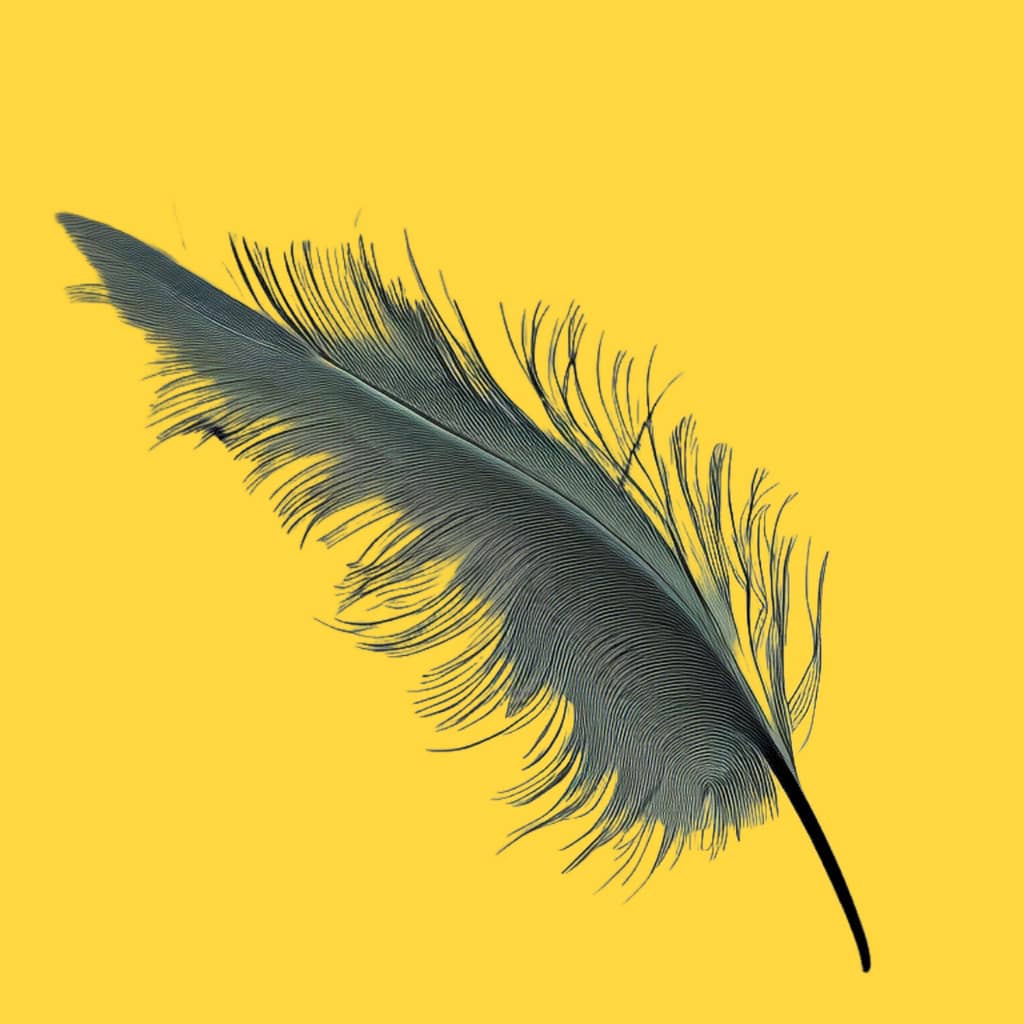 Feather, writer
