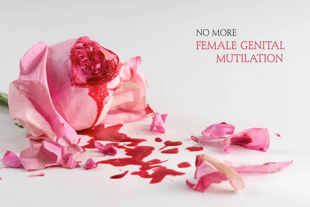 No to Female Genital Mutilation, it is a violation of a persons dignity. Dangerous, mutilating.