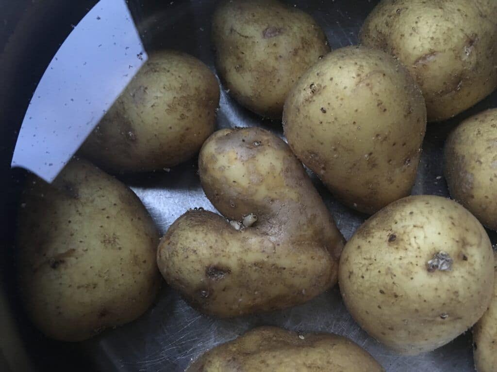 Design your logo and brand your theme