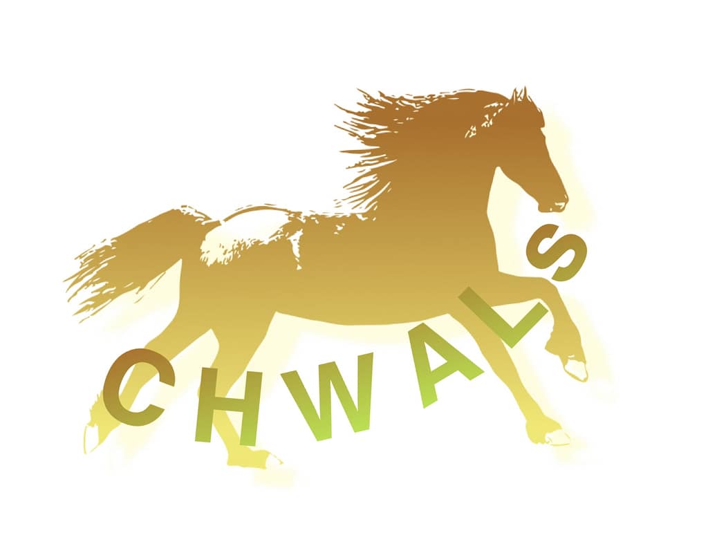 Design your logo 2 Make your logo