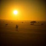 Bhethlehema, city of love