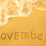 International Days November