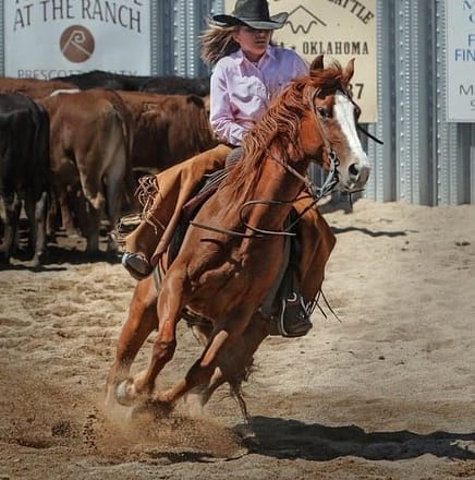 Putting bits to steer a horse