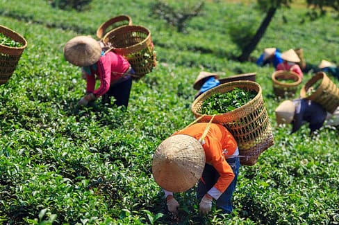 International Day of Rural Women