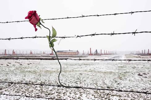 International Day of Commemoration in Memory of the Victims of the Holocaust