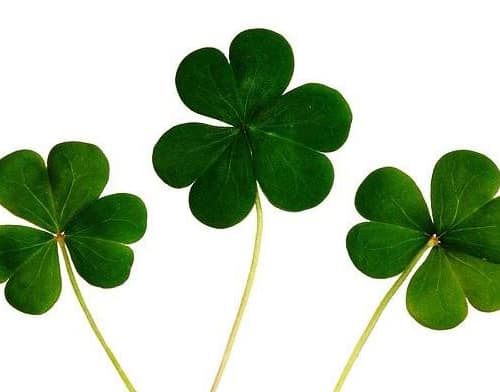 Irish folk songs