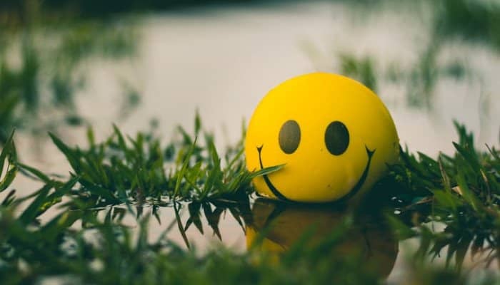 Mindsets to create a succesful business