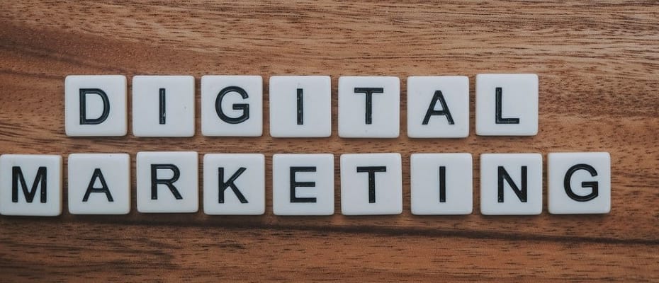 SEM or SEO? What shall we use
