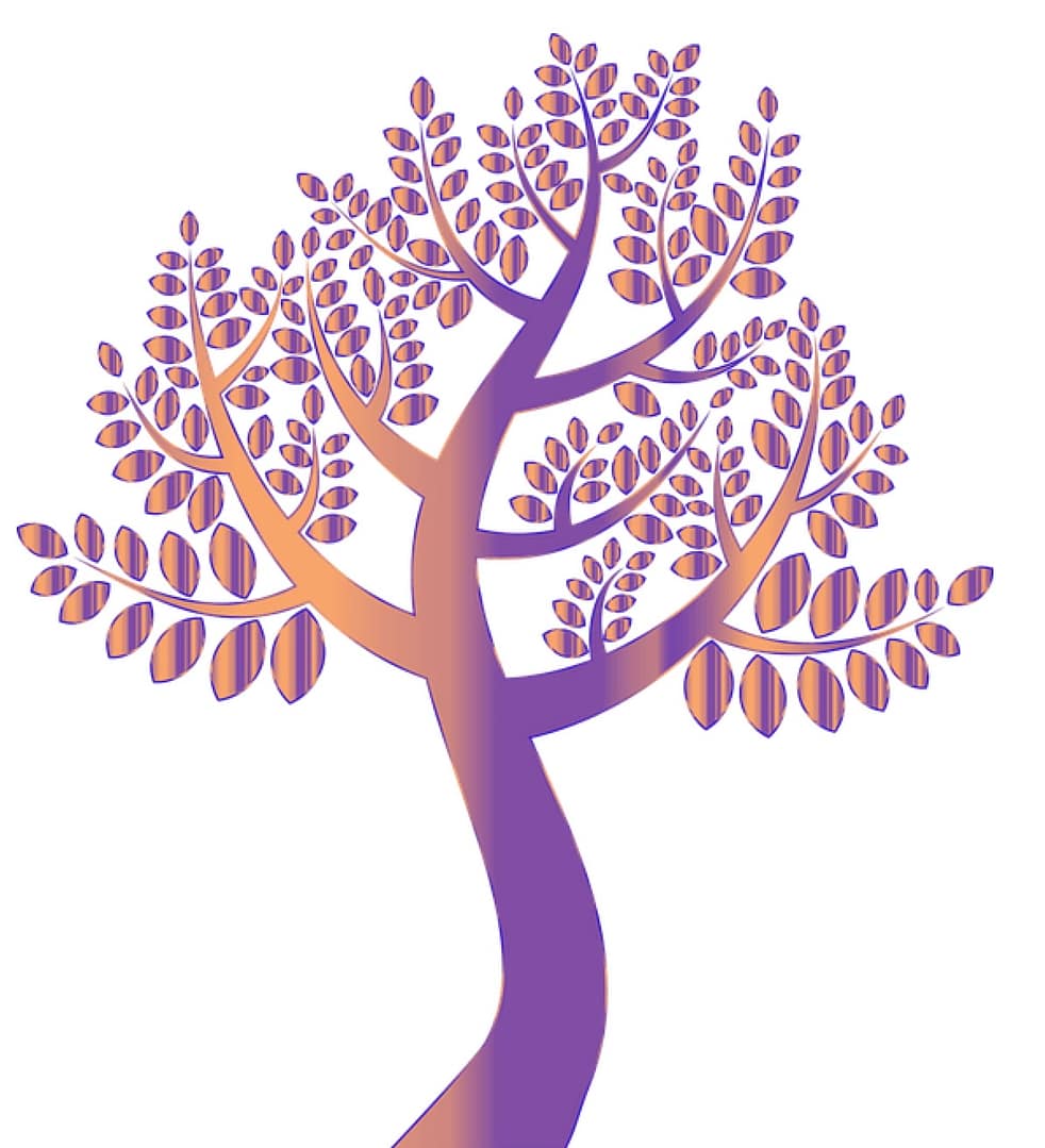 The quest for gold is universal